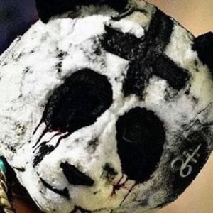 Meet your Posher, Jhon